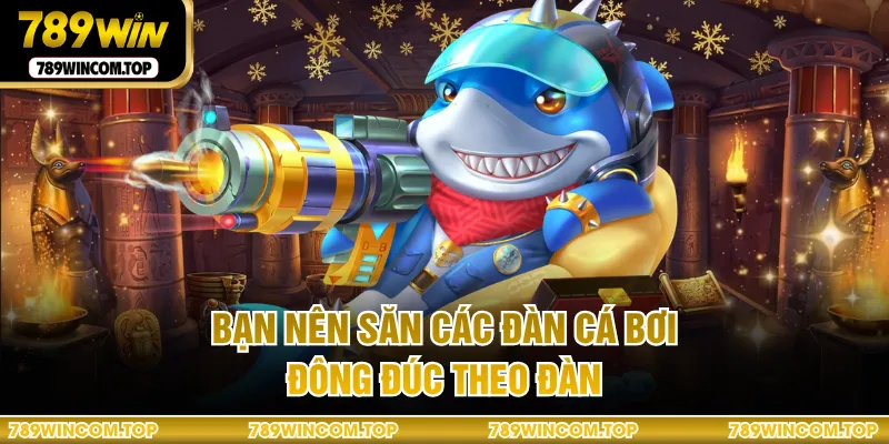 Bạn nên săn các đàn cá bơi đông đúc theo đàn
