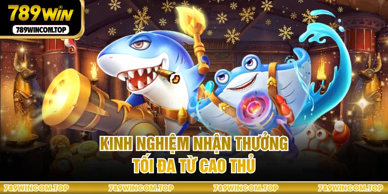 Kinh nghiệm nhận thưởng tối đa từ cao thủ